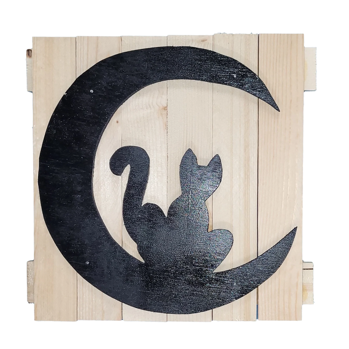 Cat on the moon 10x10