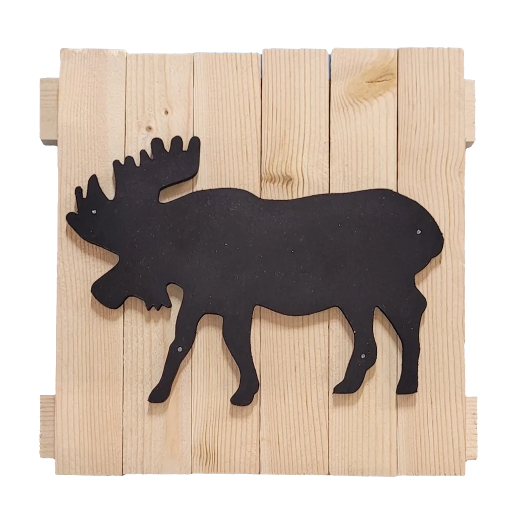 Moose bull 10x10