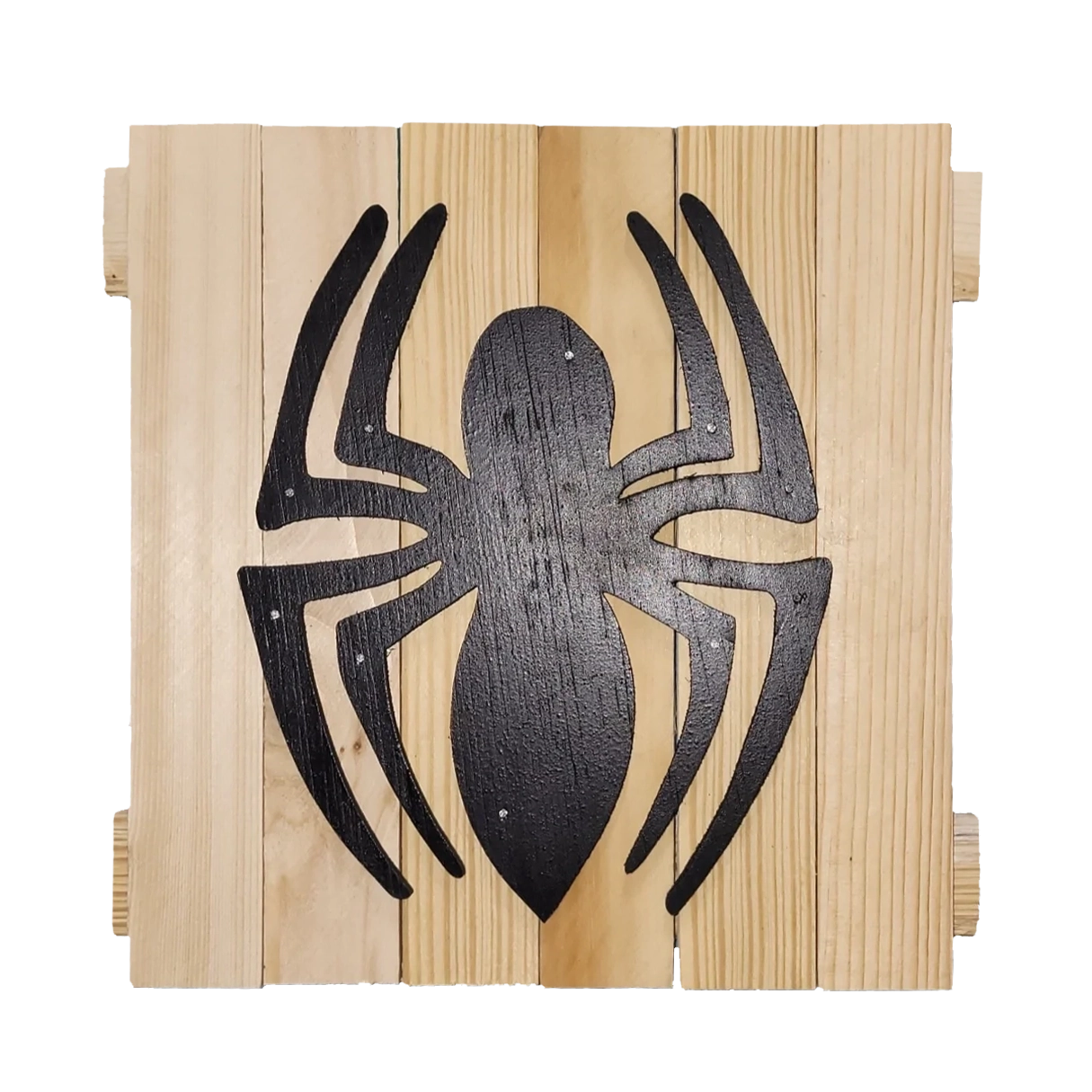 Spider 10x10