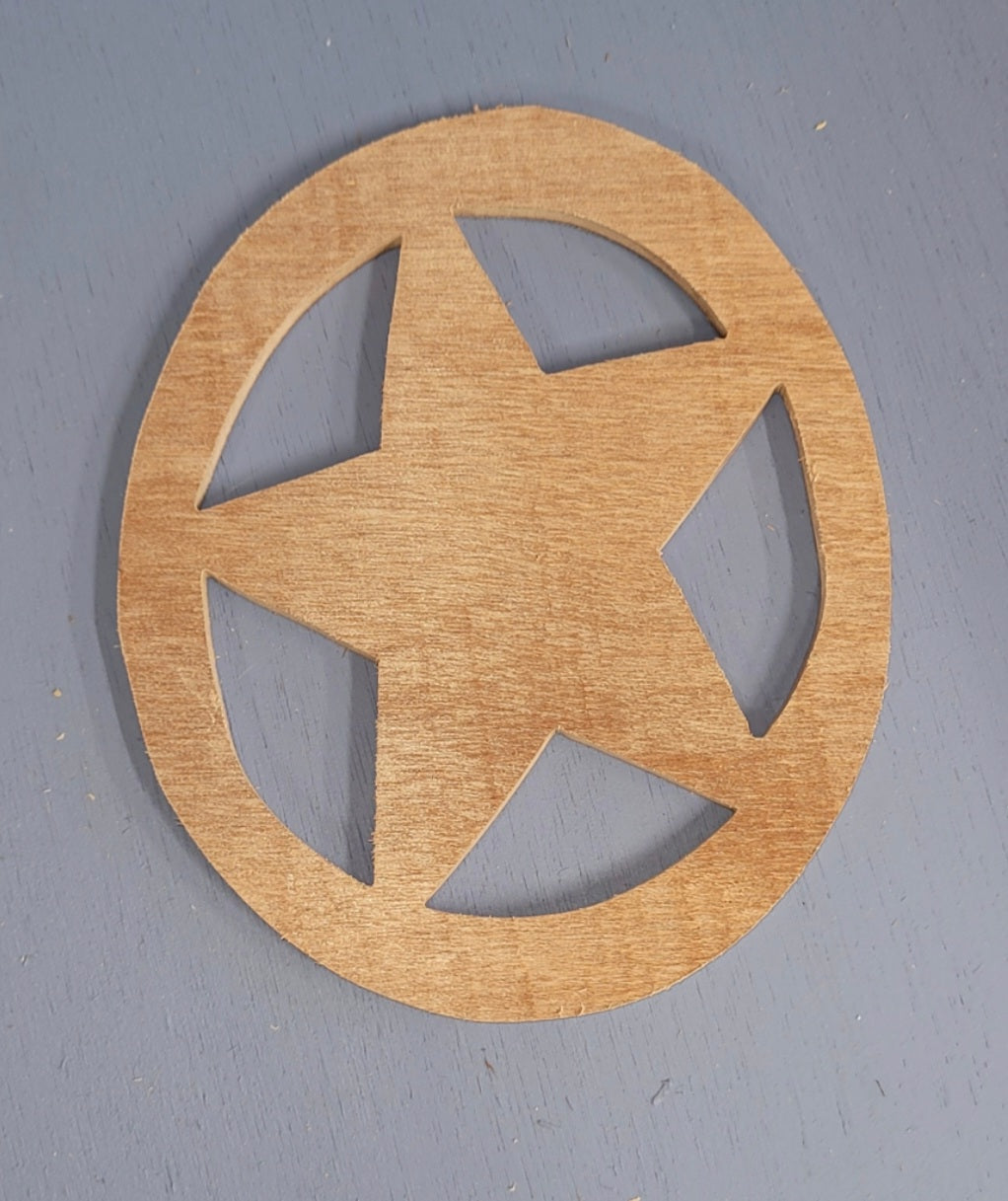 Star in circle ornament